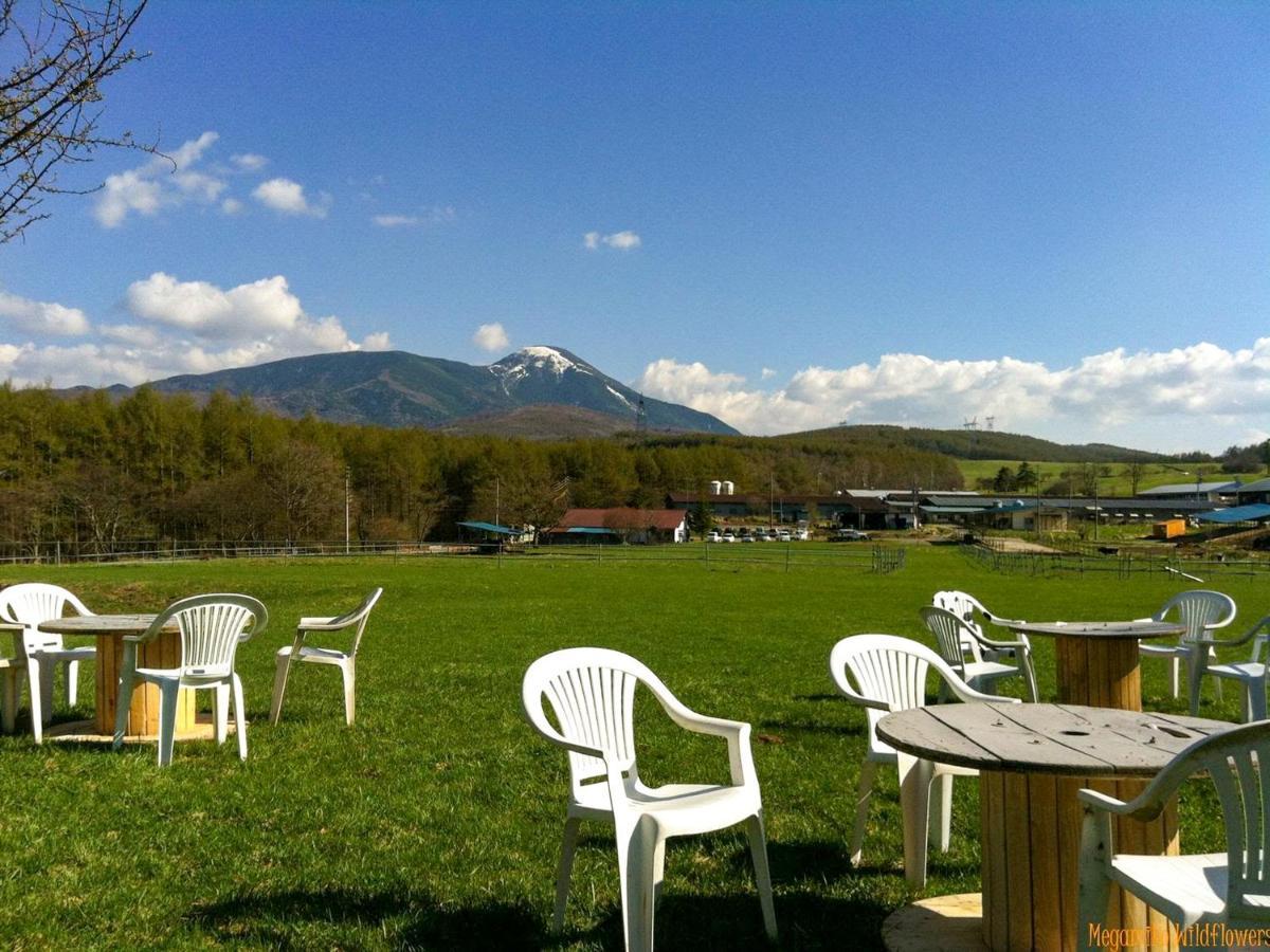 Pension Wildflowers Tateshina  Esterno foto
