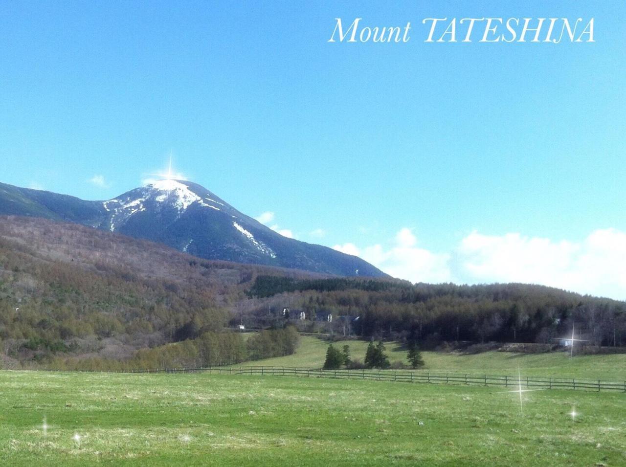 Pension Wildflowers Tateshina  Esterno foto