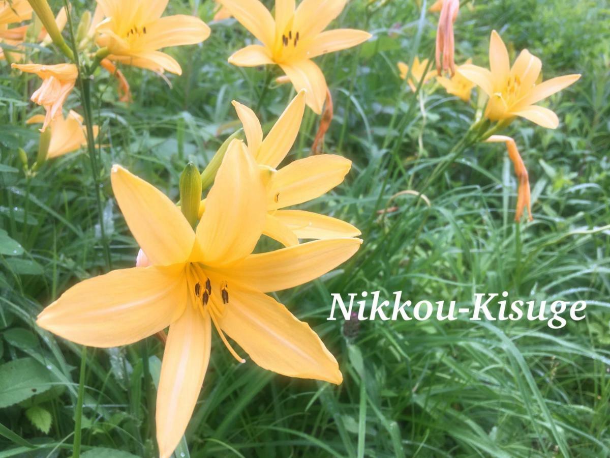 Pension Wildflowers Tateshina  Esterno foto