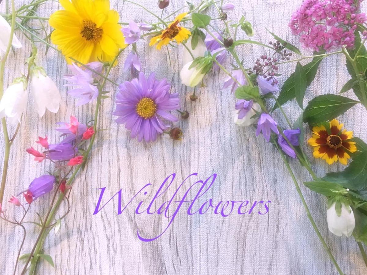 Pension Wildflowers Tateshina  Esterno foto
